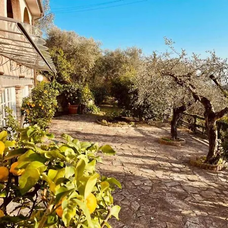 Le Selvarelle By Nicola Real Estate 別荘